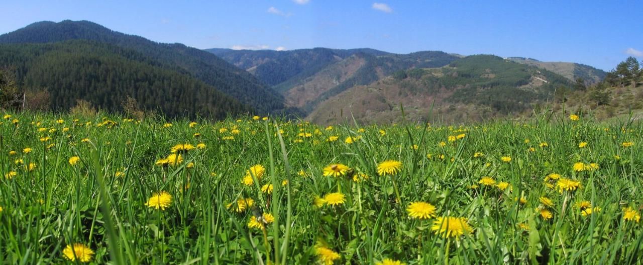 Отель Yagodina Family Hotel Ягодина