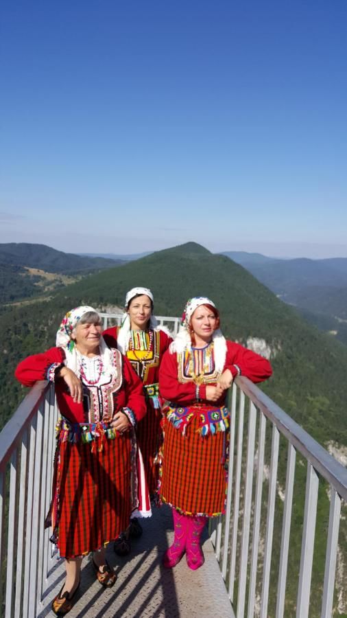 Отель Yagodina Family Hotel Ягодина