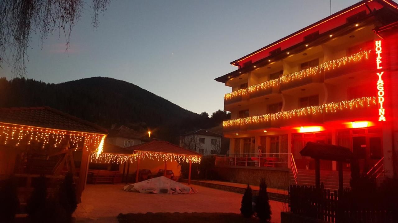 Отель Yagodina Family Hotel Ягодина-12